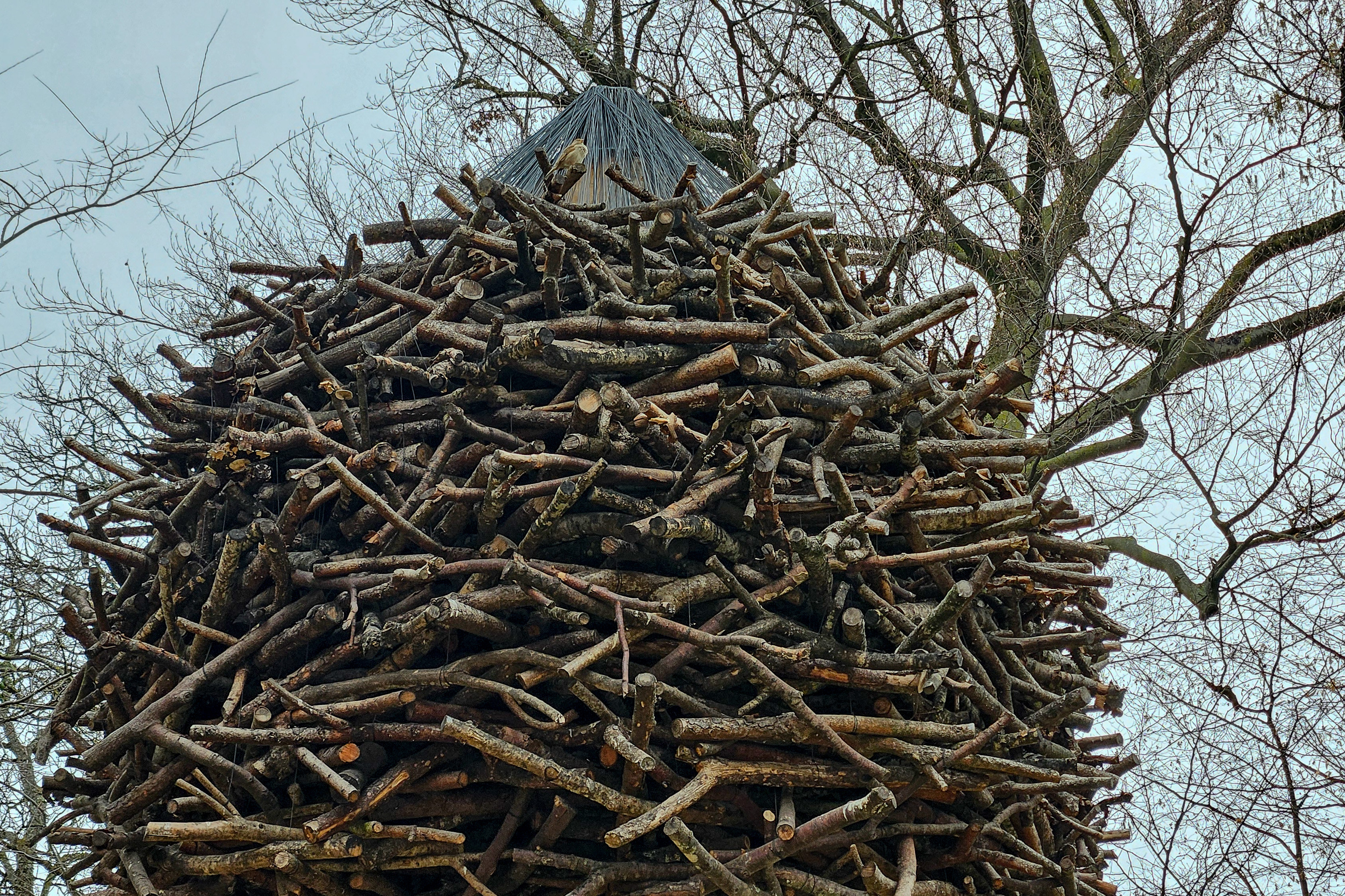 Installation  im Jardins de l'Europe